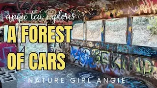 International Car Forest (of the last church) - A desert tourist attraction (Angie Lea Explores)