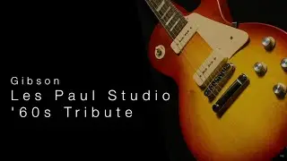 Gibson Les Paul Studio 60's Tribute • Wildwood Guitars Overview