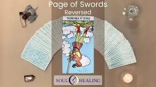 Page of Swords reversed - Tarot reading