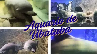 Passeando pelo aqu&aacute;rio de Ubatuba SP 