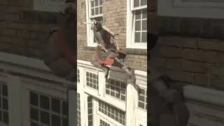 You can Manual Side Eject in AC 3?! (AC III) #assassinscreed #parkour #gaming