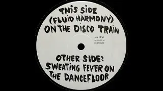 (A) Dimitri & Jaimy - (Fluid Harmony) On The Disco Train (Outland Records &ndash; TRIP 010) - 1993
