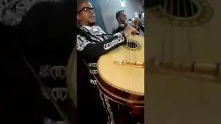 MARIACHI FUSION 3122266006