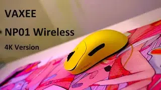 VAXEE NP01 Wireless Short Review
