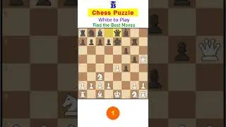 Chess Easy Puzzle -46