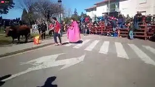 DESENCIERRO LUNES  - CARNAVAL DEL TORO 2020