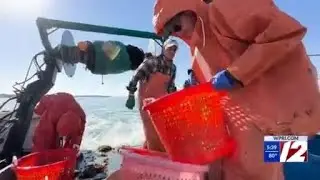 Whitehouse pushes for task force to research declining shellfish populations