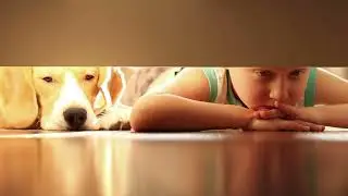 FurBabies Resort and Spa Commercial
