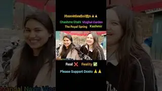 Chashme Shahi Mughal Garden | Momos vale kashmir |#vlog #food #shorts #minivlog #tranding #travel