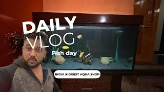 #vlog 58 / Old home for new fishes 😍 
