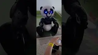 A child from Italy is learning English in Ust-Kamenogorsk.