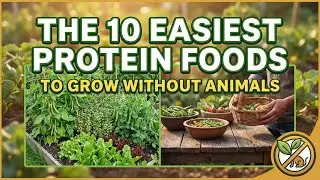 The 10 Easiest Protein Foods To Grow Without Animals
