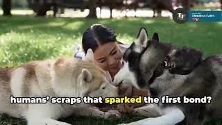 From wolf to dog: Genetics That Shaped Our Companions | timelesstales