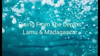 Rising From the Depths Paper Birds Madagascar