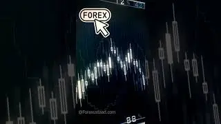 Did You Know EUR/USD Most Tradable Pair in Forex Market #forextrading #stockmarket #crypto