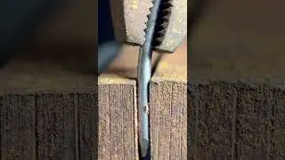 Break a nail in macro #macro #nail #break #asmr #closeup #ultramacroviews
