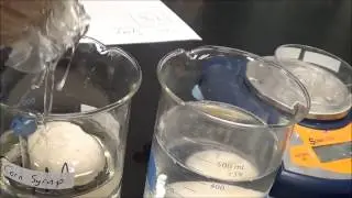 OSMOSIS IN EGGS T-STEM PROJECT FOR STEM EDUCATORS