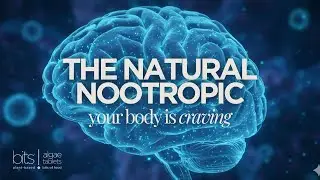 Spirulina: The Natural Nootropic Your Brain Is Craving