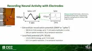 CICC EDU 2020- Analog Front-ends for Large Scale Neural Recording Ross Walker, University of Utah