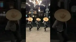 Mexican dance El Mariachi 🇲🇽 #mexico #shorts