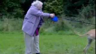 Flying Granny