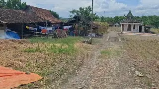 Masih Alami‼️Suasaana Perkampungan Ujung Kulon Bojonegoro,Banyak Yang Belum Tau,Seperti Th 70an