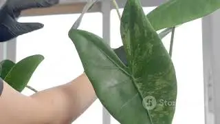 Hidden home hazards!