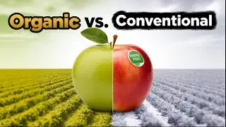 Comparing Organic vs. Conventional Farming: Which is Better?