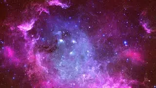 [LIVE] Real Time Price: Vechain, Cardano, Chainlink, Tezos, Zilliqa, Dogecoin (1h charts)