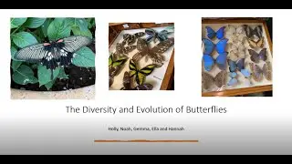 The Diversity and Evolution of Butterflies
