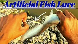 Spoon Lure Fishing With Tica Spinning Rod || Unique Fishing BD