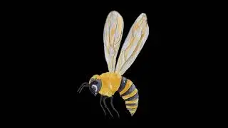 Bee buzzing Sound Effect - #backgroundsoundeffects