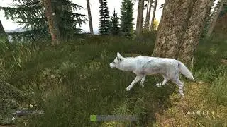DayZ 0.63 EXP - WOLFPACK