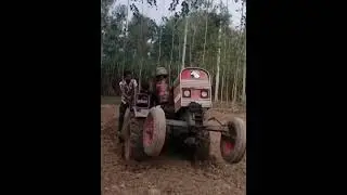 आइशर 👑//Eicher 👑#tractor #tractorperformance #eicher #242