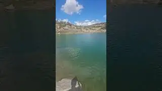 Koa and Irie swimming in Utah #nature #dogdadlife