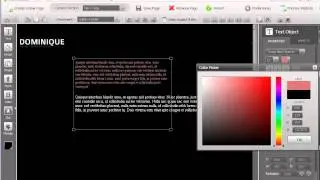 Flash CMS: How to work with text