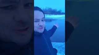 Лебедь кликун остался в Башкирий потом его поймают 🦊🦊🦊