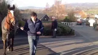 The day before..Vautour, Suntiep, Champagne Fever and Uncle Junior etc ..2014