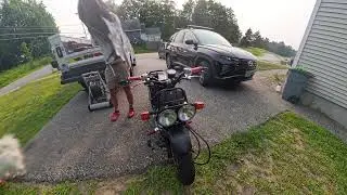 Scooter and Fetch with Honda Dog