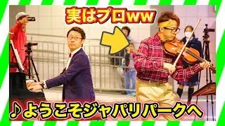 【バイオリン】街中で突然、けものフレンズ/ようこそジャパリパークへ弾いてみたww  street piano performance （violin）