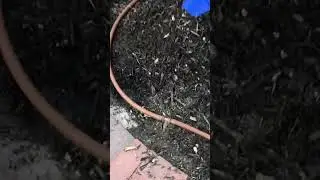 How To Install A Irrigation Drip Line
