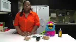 The Intellectual Puppet Cooking Show