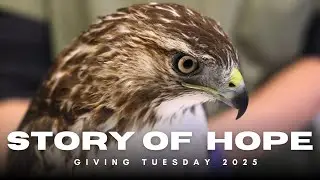 A Story of Hope - Giving Tuesday 2025 - Shades of Hope Wildlife Refuge