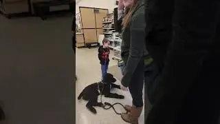 video #3Mickey, child autistic service dog