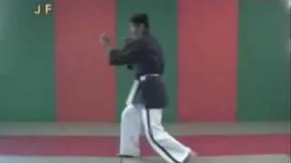 yoseikan budo compilation