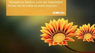 A FIRMEZA DA CONVERSÃO - RICHARD BAXTER