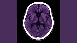 Endocrine Pulse Fragment