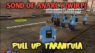 Pull up Tarantula #wargaindoroleplay
