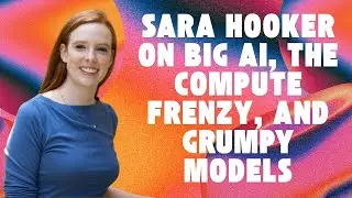 #8 &ndash; Sara Hooker: Big AI, The Compute Frenzy, and Grumpy Models