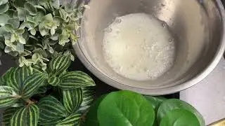 Sheet cake only 5 ingredients 